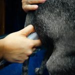 P1050141