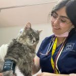 b28a04f0-0f73-4dba-b912-184e32064fce